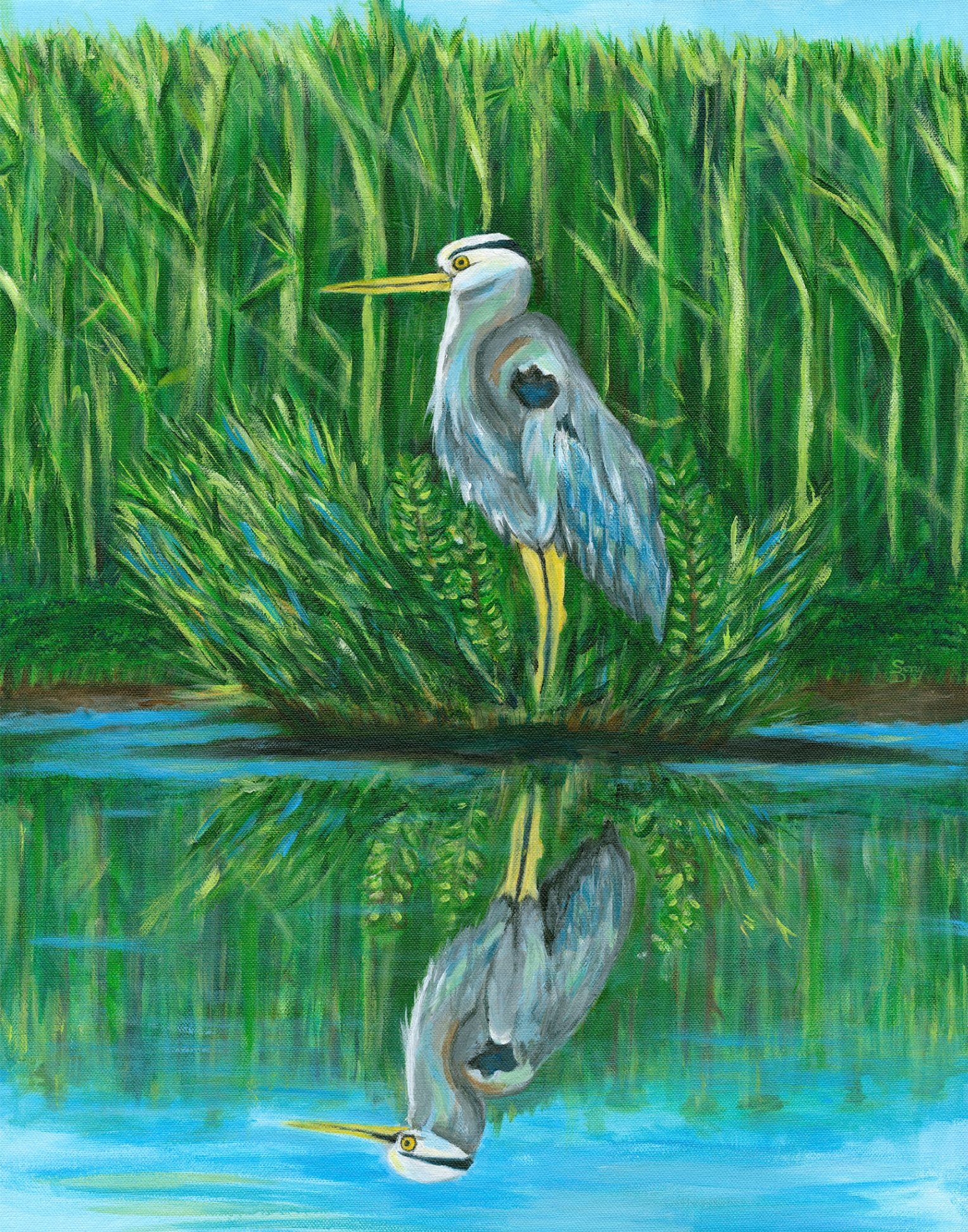 Here's Looking at You, Kid — great blue heron gazing directly at the viewer